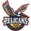 PELS LOGO 2